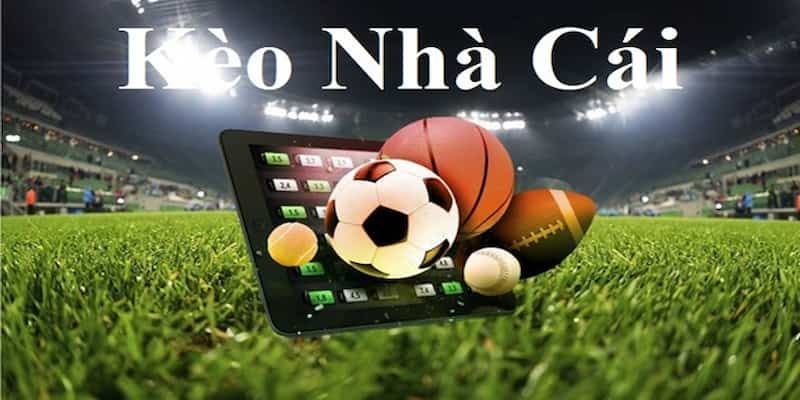 Soi Kèo Nhà Cái 5 Tại WW88 - Hỗ Trợ Cược Chiến Thắng Độ tin cậy cao