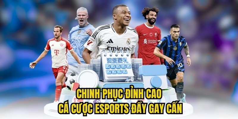 W88VN Thăng Hoa Cảm Xúc Cá Cược Trực Tuyến - Https//w88vn.us/